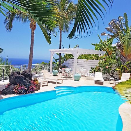 La Boheme, Residence De 5 Appartements Avec Piscine, Vue Ocean, Petite Ile 외부 사진