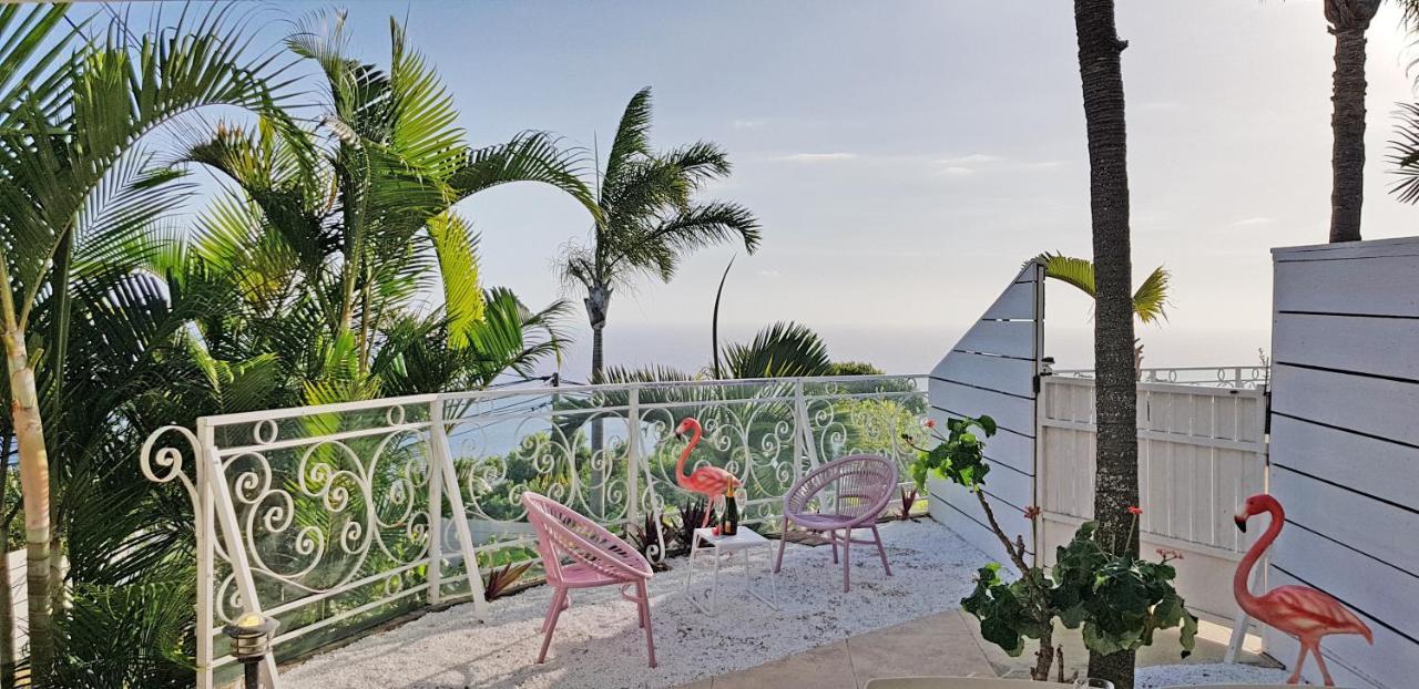 La Boheme, Residence De 5 Appartements Avec Piscine, Vue Ocean, Petite Ile 외부 사진